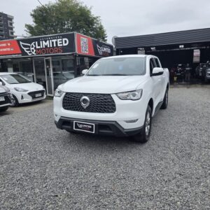 GREAT WALL POER DELUXE 2.0 • 2021